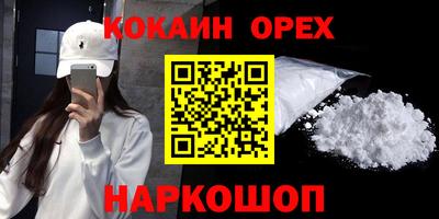 индика Камышлов
