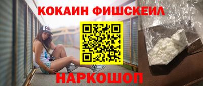 индика Камышлов