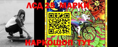 индика Камышлов
