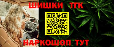 индика Камышлов