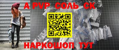 индика Камышлов