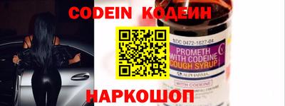 индика Камышлов