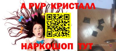 индика Камышлов