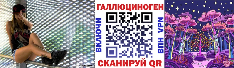 OMG зеркало  Невинномысск  Галлюциногенные грибы Psilocybine cubensis 