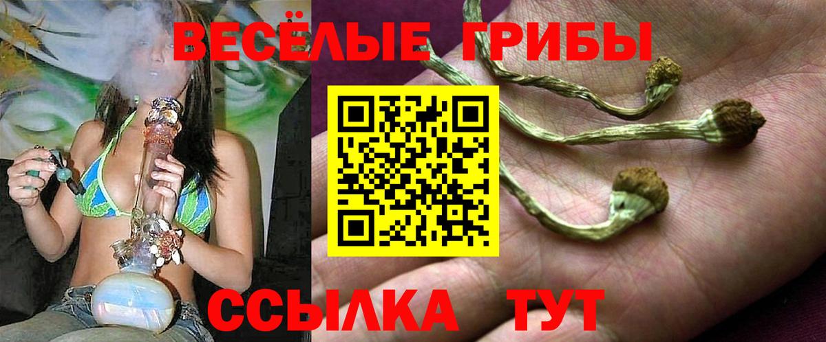 Галлюциногенные грибы GOLDEN TEACHER Невинномысск