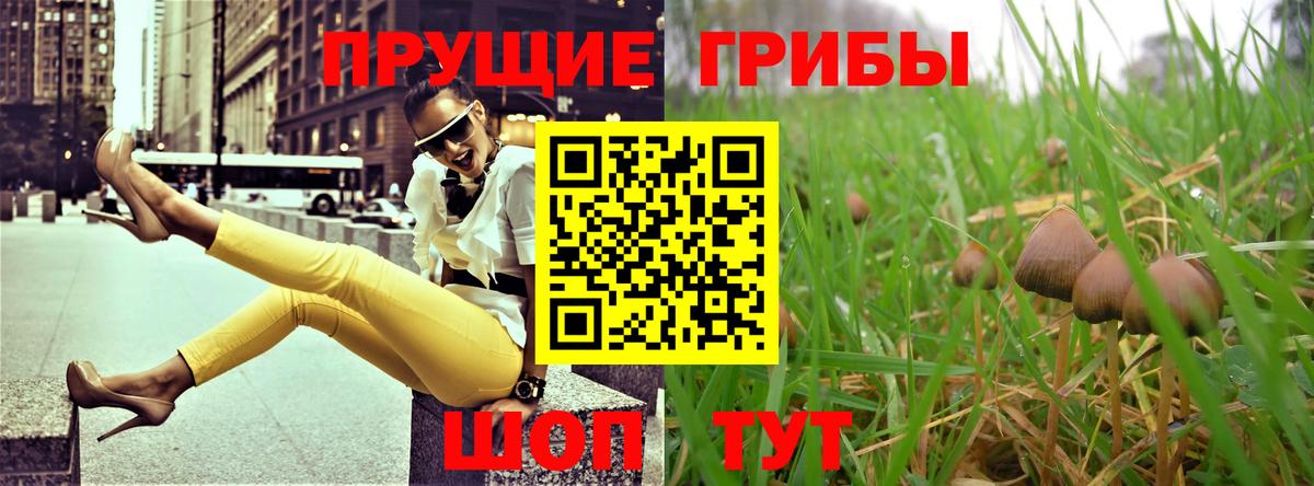 Галлюциногенные грибы MAGIC MUSHROOMS Невинномысск