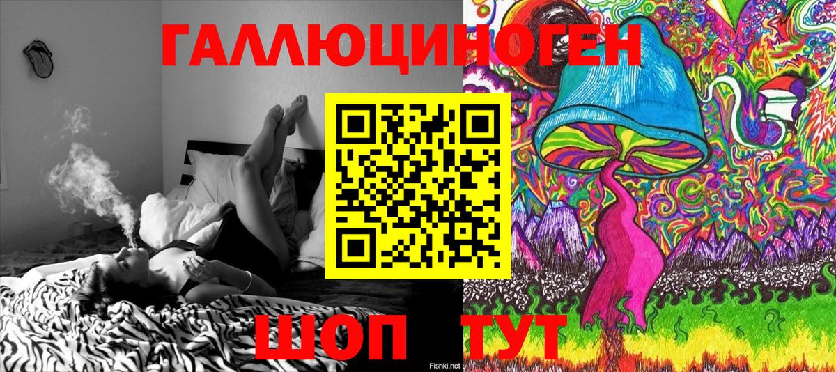 Псилоцибиновые грибы Cubensis  Вход с VPN  Псилоцибиновые грибы Psilocybine cubensis  Невинномысск 