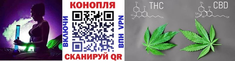 Бошки марихуана индика  Невинномысск 